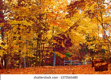 Autumn In Westchester County, New York