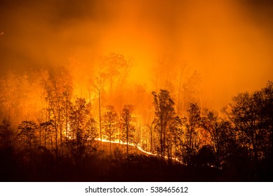 An autumn wildfire blazes in the Appalachian Mountains