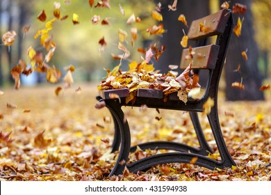 Autumn Wind In The Park