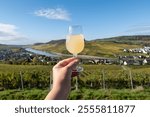 Autumn wine festival in Germany on Moselle river valley, tasting of federweisser young wine, neuer wein made fermented freshly pessed auxerrois grape juice, or must. View on terraced vineyards