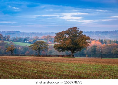 Autumn woodland countryside scene over Brightling down from Woods Corner on the High Weald in East Sussex south east England UK - Shutterstock ID 1558978775