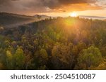 Autumn woods of Appalachian mountains at sunset with yellow and orange canopies in colorful forest. Landscape of wild nature in fall season