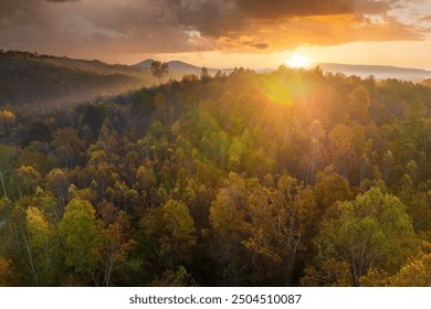 Autumn woods of Appalachian mountains at sunset with yellow and orange canopies in colorful forest. Landscape of wild nature in fall season - Powered by Shutterstock