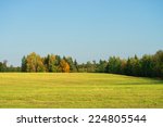 Autumn woods and fields