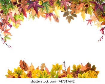 Autumn Wreath of Leaves, Berries, Flowers and Pumpkins of Orange, Yellow and Red Colors on the White Background. Autumn consept.