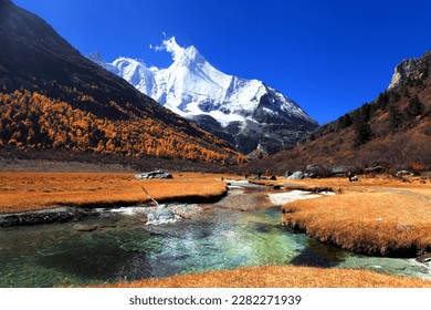 The Autumn at Yading Nature Reserve in Daocheng County , summer at Yading National Park, Sichuan, China    