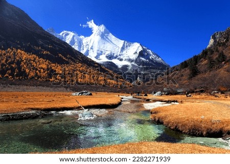 The Autumn at Yading Nature Reserve in Daocheng County , summer at Yading National Park, Sichuan, China    