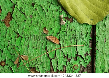 Autumn yellow fallen leaves and twigs on old wooden background texture of boards with cracked green paint. Shabby grunge wood panels, frame, flat lay. Fall season concept.