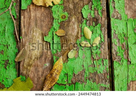 Autumn yellow fallen leaves and twigs on old wooden background texture of boards with cracked green paint. Shabby grunge wood panels, frame, flat lay. Fall season concept.