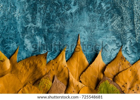 Similar – Autumn flowers and leaves on blue