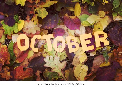 Autumn, Yellow Leaves, The Word October