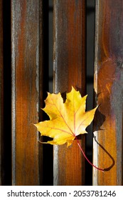 An Autumn Yellow Maple Leaf Lying On A Bench. Top View With A Copyspace