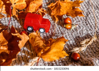 Autumnal Background. Red Toy Car And Dried Orange Fall Maple Leaves On Grey Knitted Sweater. Thanksgiving Banner Copy Space. Hygge Mood Cold Weather Delivery Concept. Hello Autumn Travel