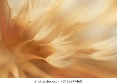 Autumnal background. Soft abstract gradient background, faded plant. - Powered by Shutterstock