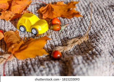 Autumnal Background. Yelllow Toy Car And Dried Orange Fall Maple Leaves On Grey Knitted Sweater. Thanksgiving Banner Copy Space. Hygge Mood Cold Weather Delivery Concept. Hello Autumn Travel