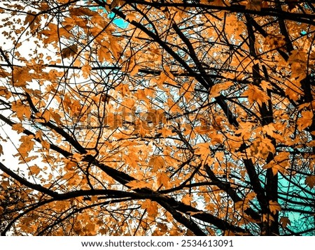 Similar – Image, Stock Photo branch Tree Strong Branch