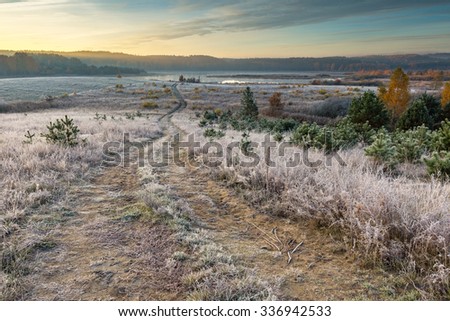 Similar – Foto Bild Herbstkälte Natur Pflanze