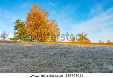 Similar – Foto Bild Herbstkälte Natur Pflanze