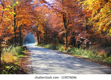 autumnal colorful country road with light and shadow