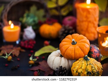 Autumnal colorful  pumpkins  on candle and fallen leaves background, Hallloween or Thanksgiving concept