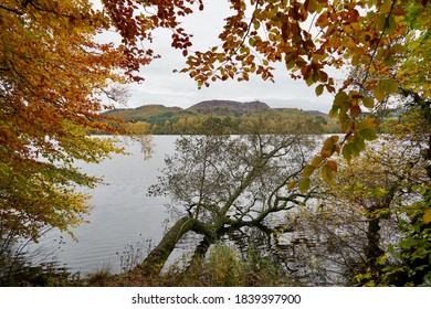 Autumnal Colours In Highland Perthshire