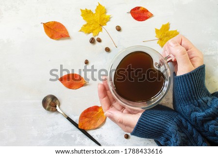 Autumnal concept with mup of Cup of hot coffee. 