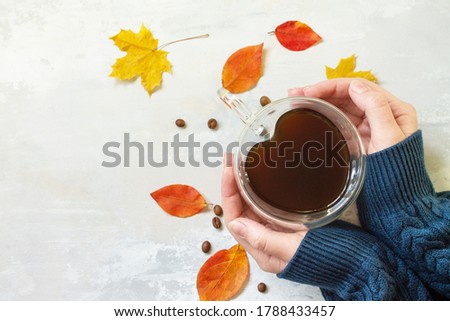 Autumnal concept. A woman is holding a cup of hot coffee. Flat lay top view. Free space for your text.