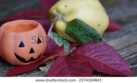 Autumnal decoration with a quince,  pumpkin, wild vine.                               