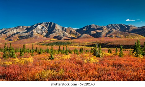 Autumnal Denali Nt Park Scenery With Mountain Range