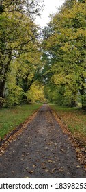 Autumnal English Country Lane Kent