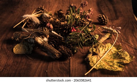 Autumnal  Fall Bounty From The Woodland Floor