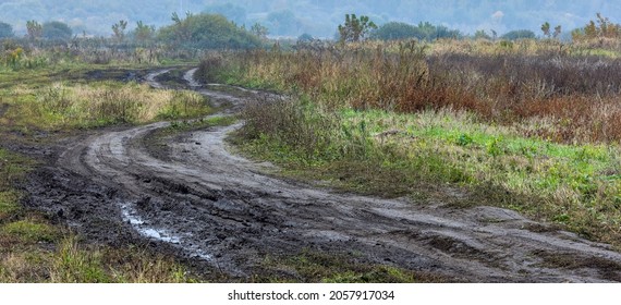 autumnal foggy morning rustic lansdcape with dirt road in the foreground and far bushes and trees in the background - sharp due to focus stacking technique