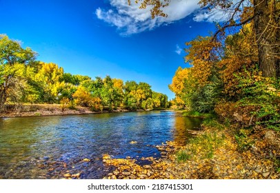 Autumnal forest riverbank landscape. Forest riverside in autumnal landscape
