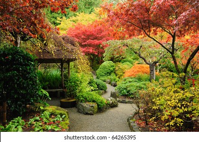 autumnal japanese garden in victoria, vancouver island, british columbia, canada - Powered by Shutterstock