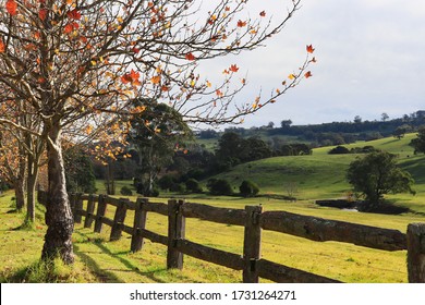 Autumnal Landscape Nature Photography Southern Highlands NSW Australia 