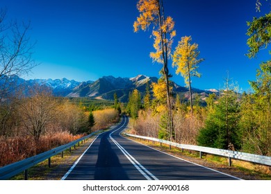 Autumnal landscape of the road to the Tatra Mountains, Poland.