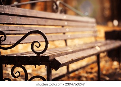 Autumnal park with bench. Focus on bench - Powered by Shutterstock