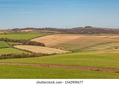 An Autumnal Patchwork Landscape In Sussex, On A Sunny Day