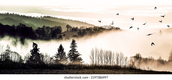 autumnal picture - fogy forest and flying birds - Powered by Shutterstock