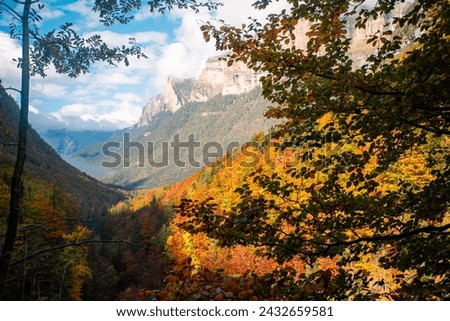 Autumnal splendor in Ordesa and Monte Perdido: the Arazas river peeks through the golden forest, a gift of nature in the Aragonese Pyrenees.
 Stock foto © 