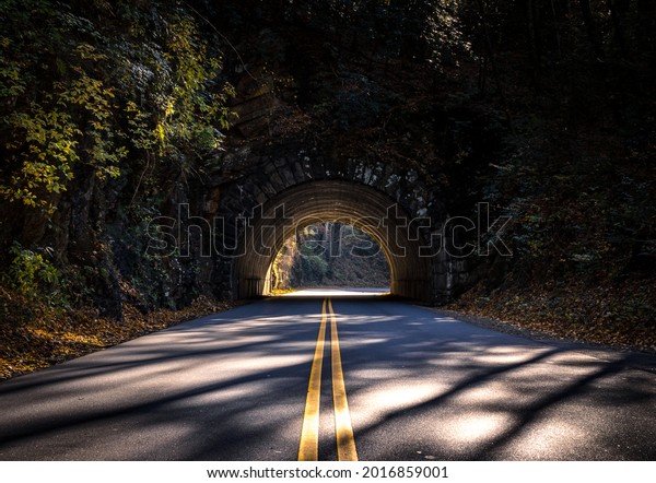 An autumnal\
tunnel in the Great Smoky\
Mountains