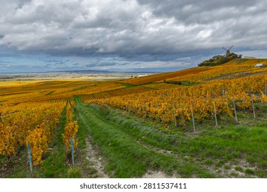 Autumnal vineyard rows creating a patterned landscape with a windmill on a hill under cloudy skies