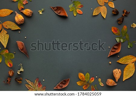 Autumnal-winter composition with dried leaves, bark of trees and  berries on dark background. Frame of plants. Flat lay, copy space.