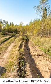 Autumn-fire-fighting Sand Moat In The Forest