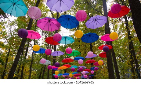 Autumn-themed umbrellas hang over the park alley.Colorful umbrellas hanging out above park trees beetween long trees.. - Powered by Shutterstock