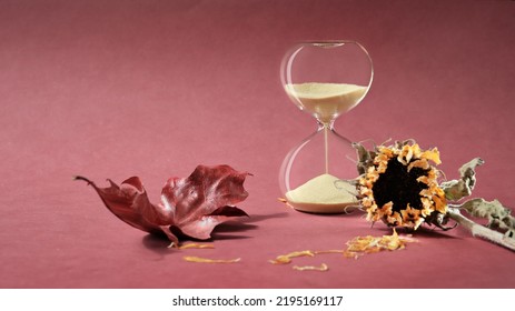 Autumntime still life with hourglass and natural dry plants. Dry sunflowers, petals and hourglass on pink paper with long shadows. Sandglass is also known as sand timer, sand clock. Toned image. - Shutterstock ID 2195169117