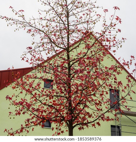 Similar – Image, Stock Photo UT I Only floating is more beautiful I Balcony