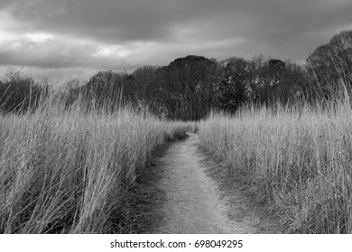 Avalon Park, Stony Brook, NY, USA