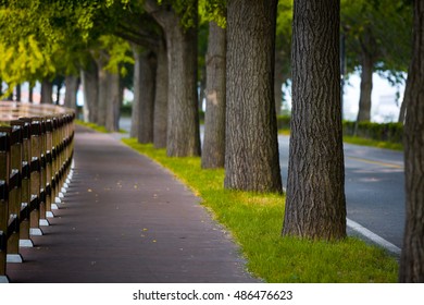 Avenue