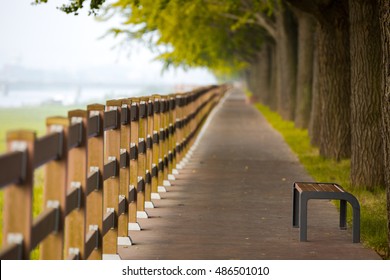 Avenue